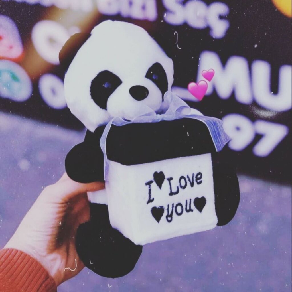 cute love dp pic girl