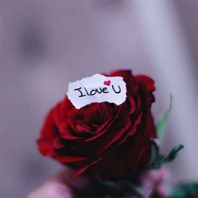 love pics dp